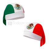 Bandana tricolor martinoli
