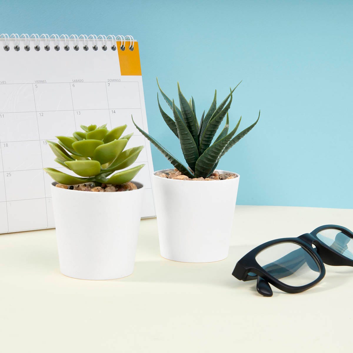 SET DE PLANTAS ALISO | Articulos Promocionales