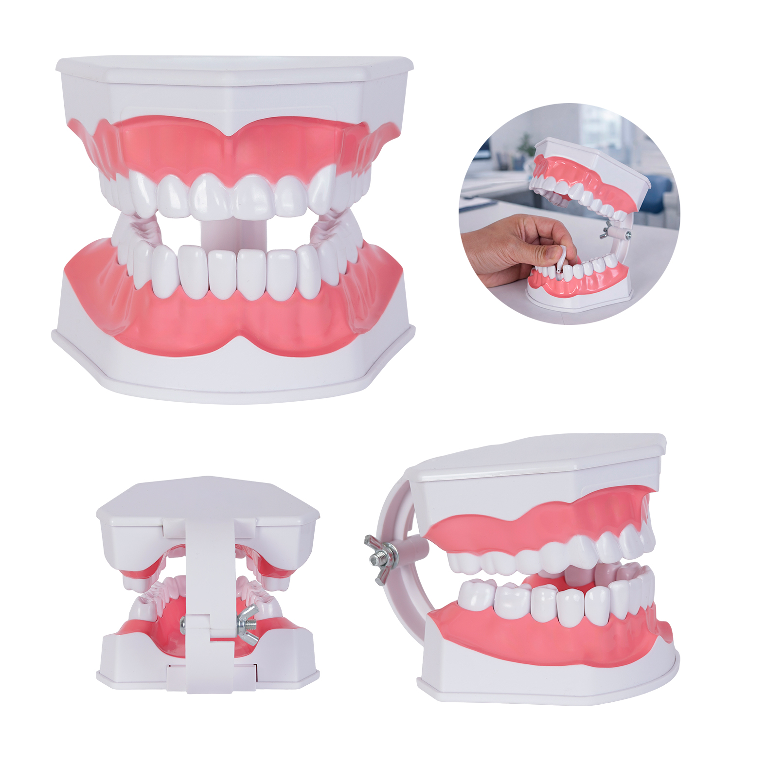 MODELO ODONTO | Articulos Promocionales